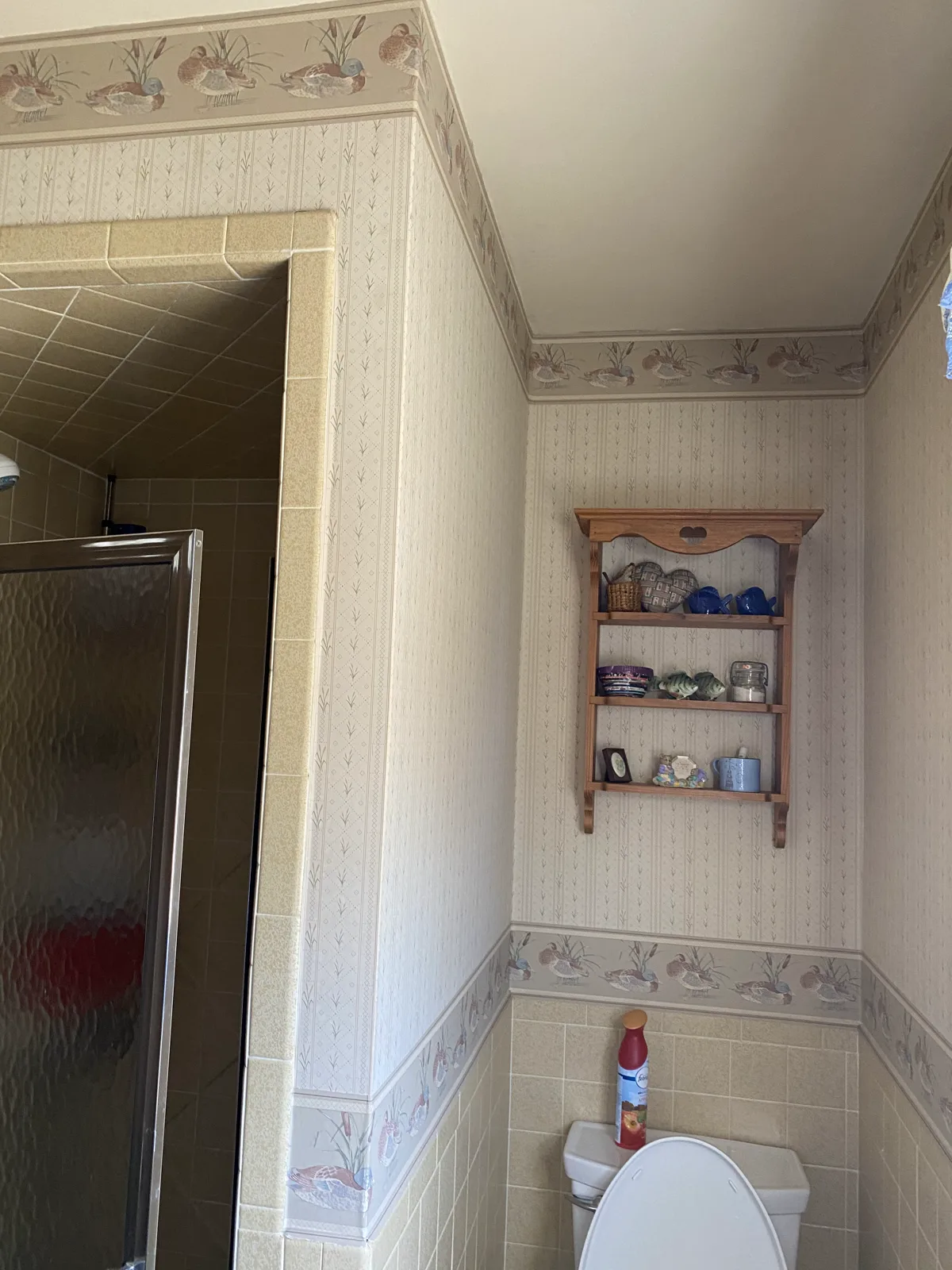 Bath Remodel Before